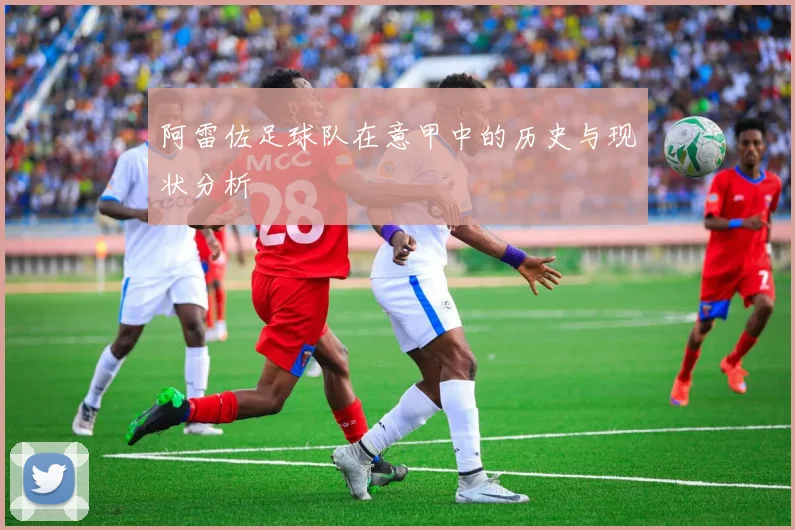 阿雷佐足球队在意甲中的历史与现状分析