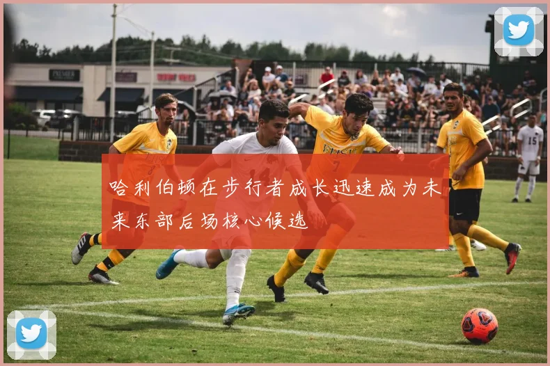 哈利伯顿在步行者成长迅速成为未来东部后场核心候选