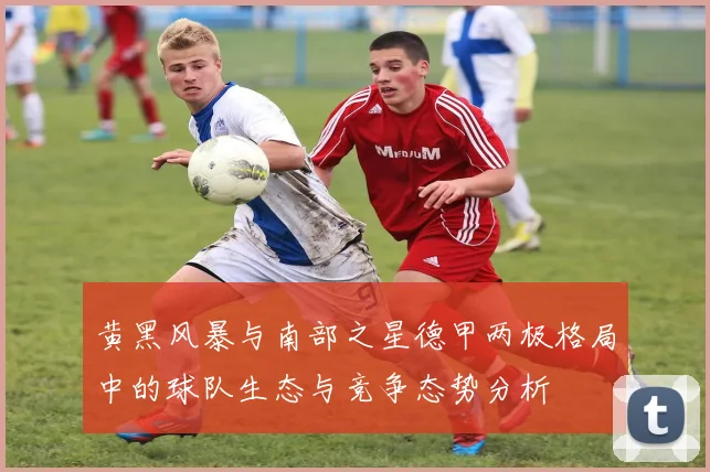 黄黑风暴与南部之星德甲两极格局中的球队生态与竞争态势分析