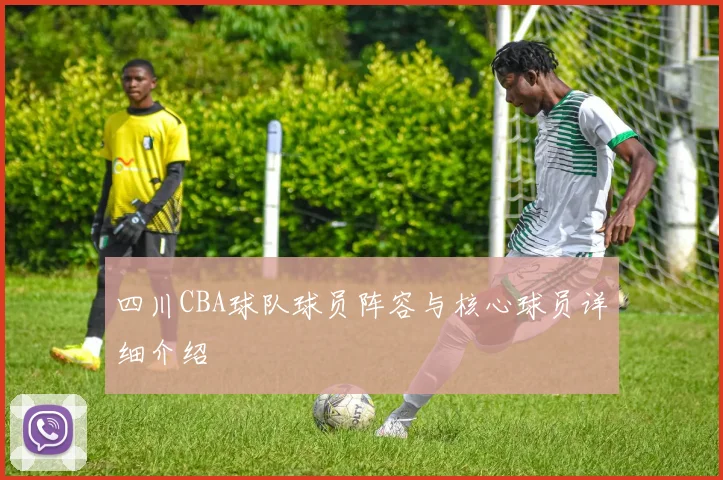 四川CBA球队球员阵容与核心球员详细介绍