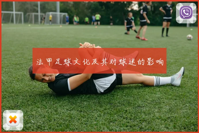 法甲足球文化及其对球迷的影响