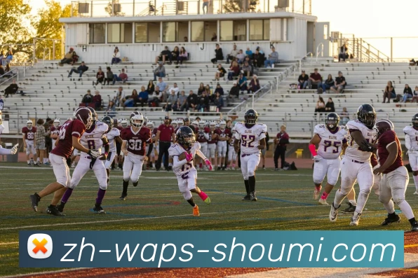 收米体育直播APP 高清赛事图